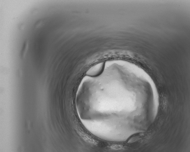 X0000080111489200612221751