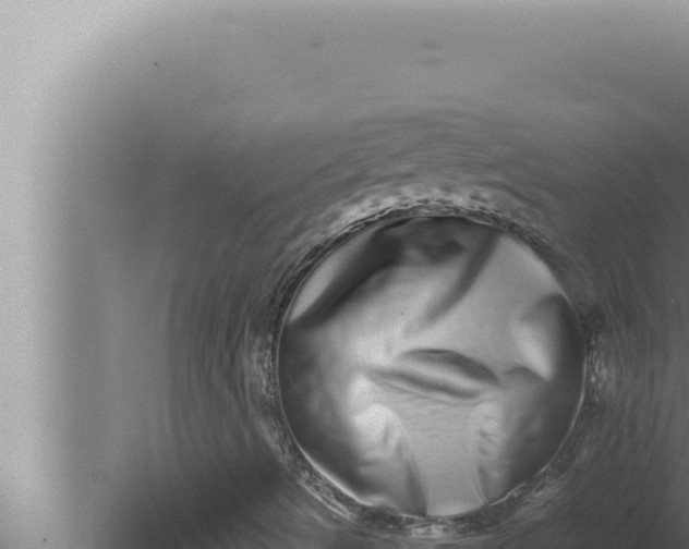 X0000080111490200612221751