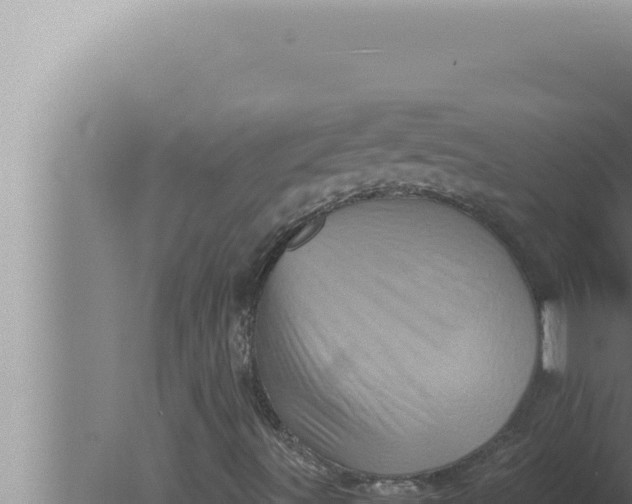 X0000080111491200612221751