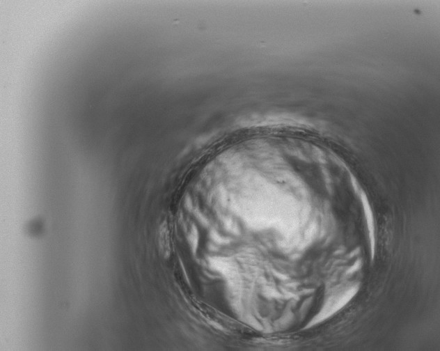 X0000080111493200612221751