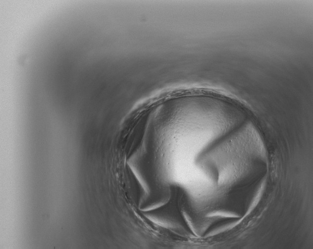 X0000080111494200612221751