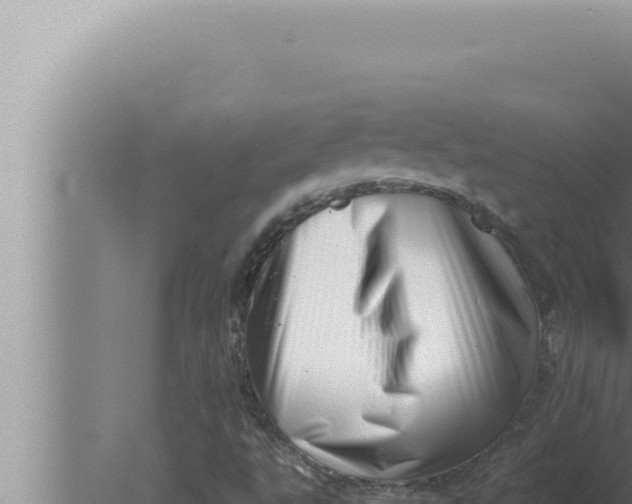 X0000080111495200612221751