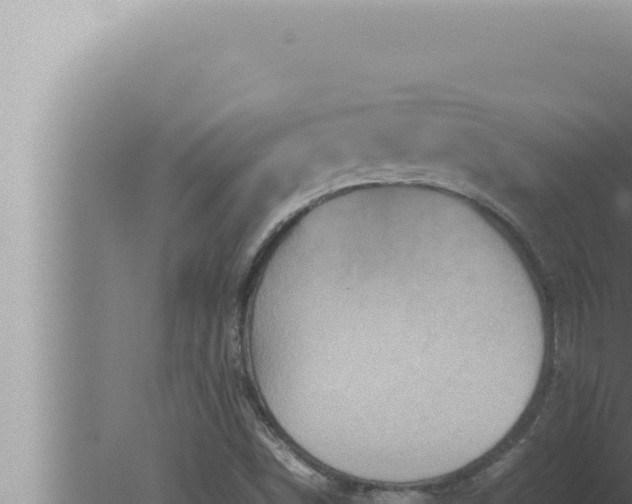 X0000080111498200612221751