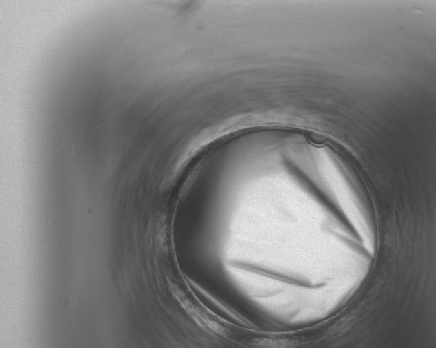 X0000080111499200612221751