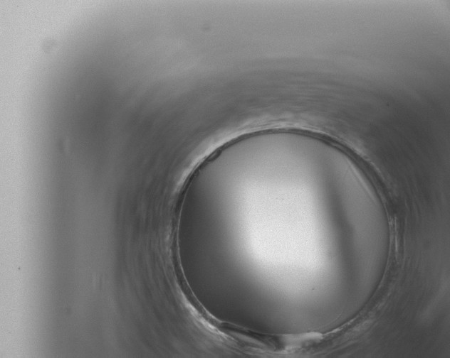 X0000080111500200612221751