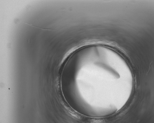 X0000080111501200612221751