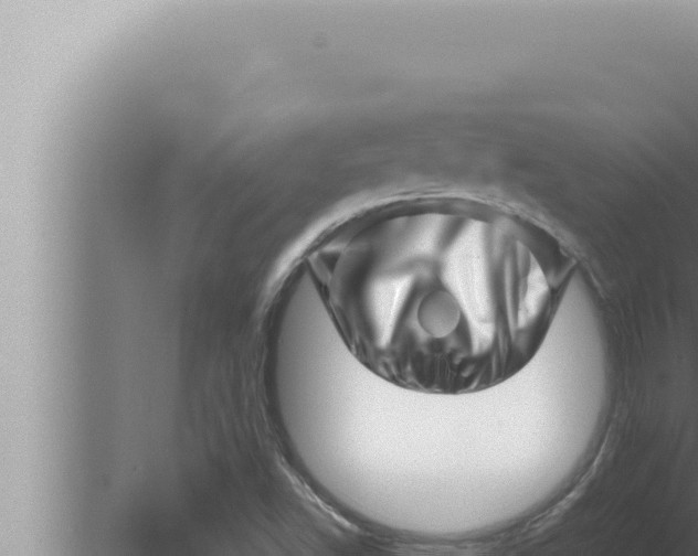 X0000080111502200612221751