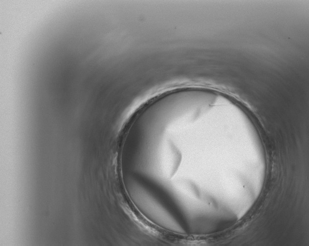 X0000080111503200612221751