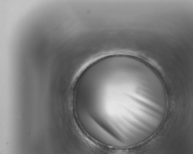 X0000080111504200612221751