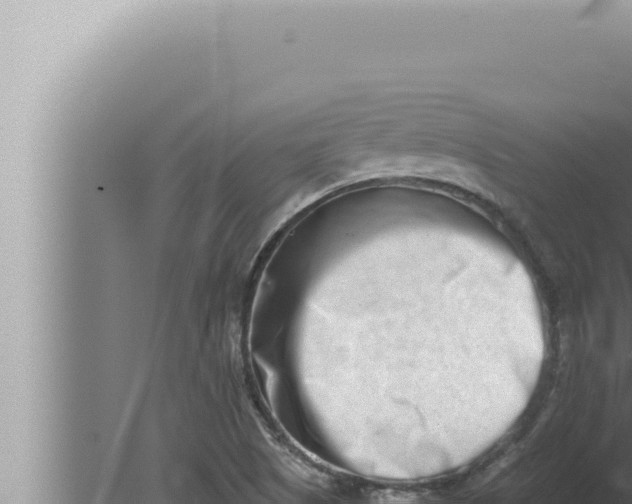 X0000080111505200612221751