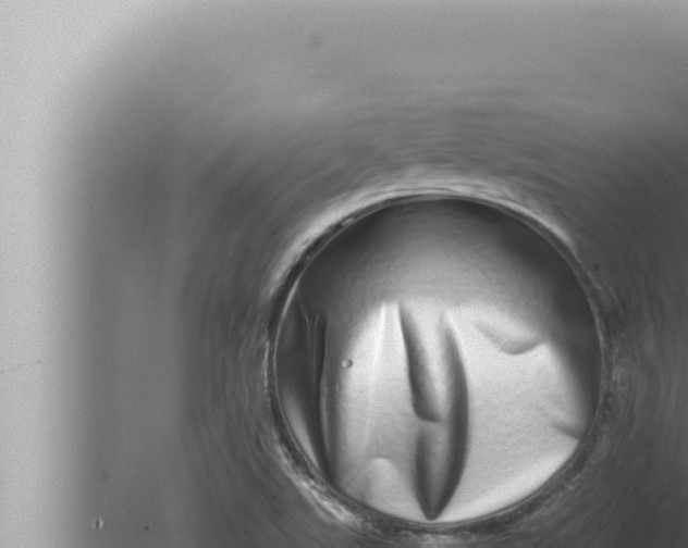 X0000080111507200612221751