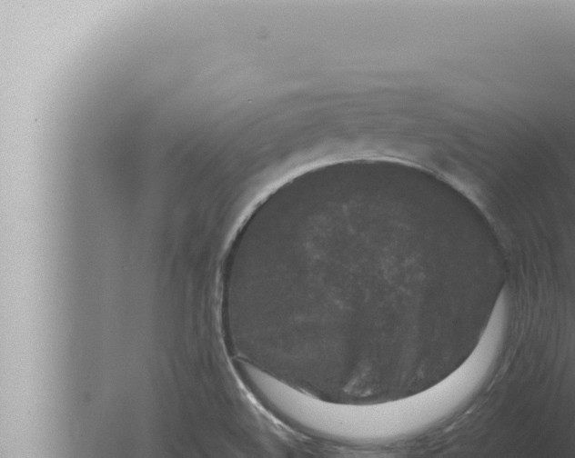 X0000080111508200612221751