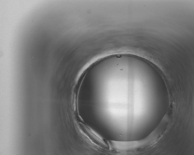 X0000080111510200612221751