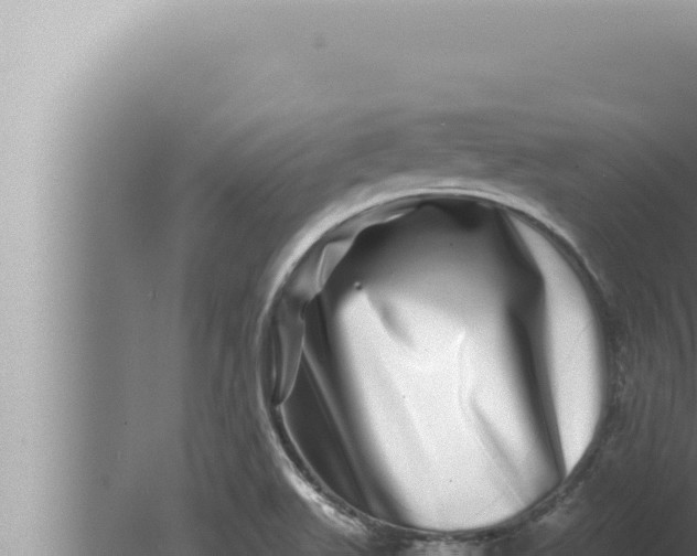 X0000080111511200612221751