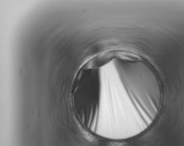 X0000080111513200612221751