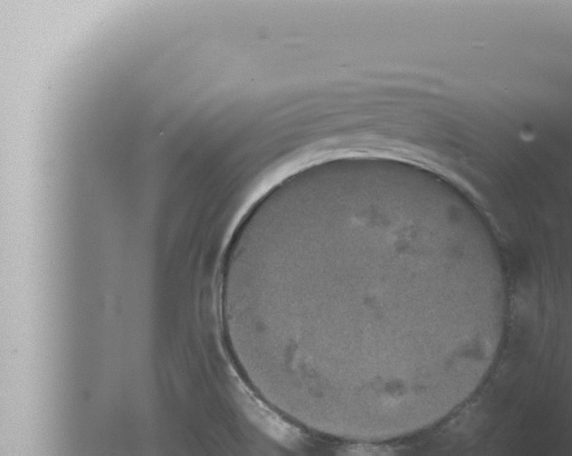 X0000080111514200612221751