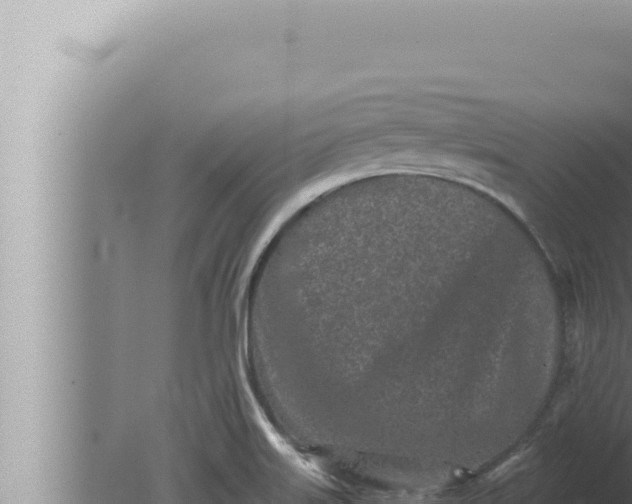 X0000080111515200612221751