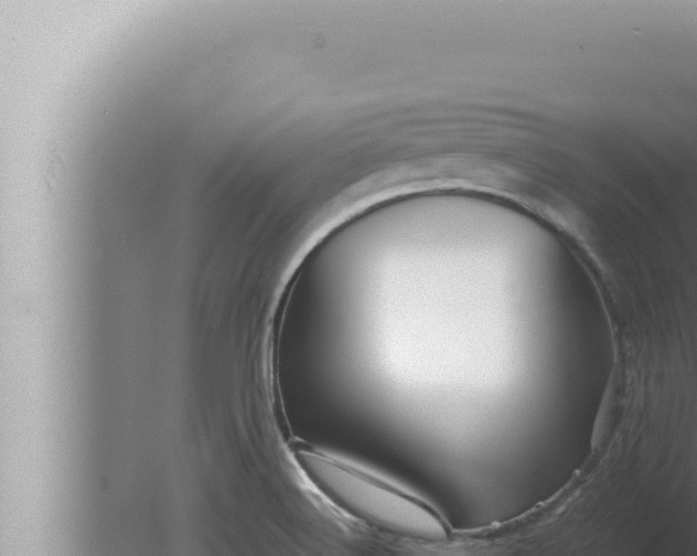 X0000080111516200612221751