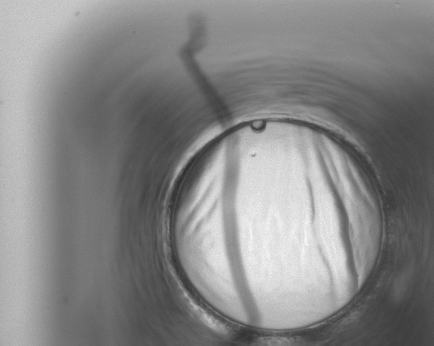 X0000080111517200612221751