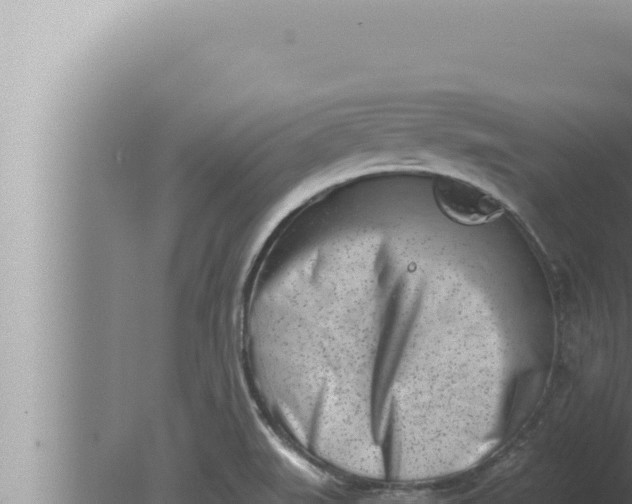 X0000080111519200612221751