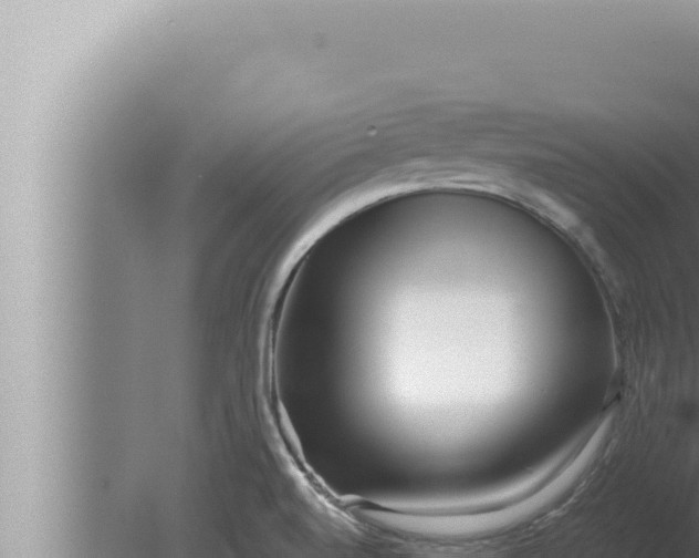 X0000080111520200612221751