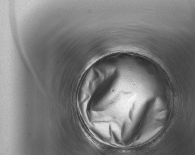 X0000080111521200612221751