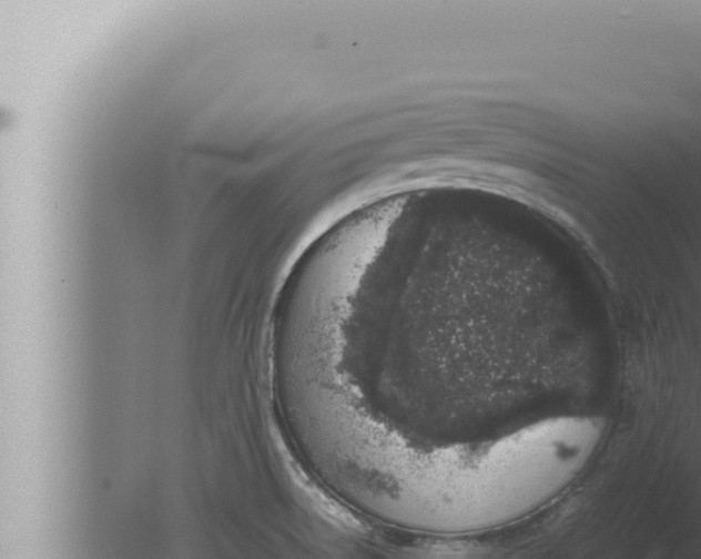 X0000080111522200612221751