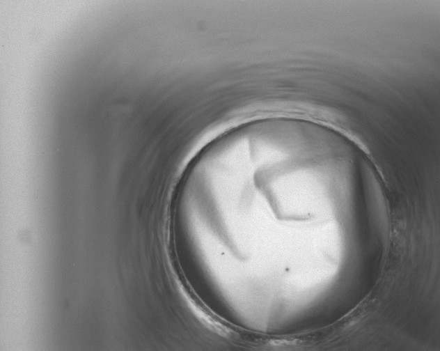 X0000080111523200612221751