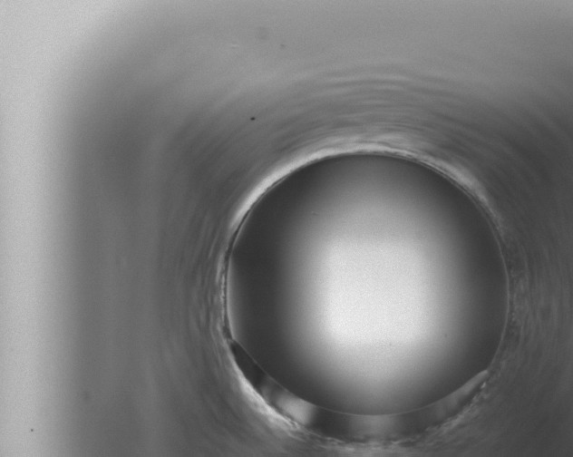 X0000080111524200612221751