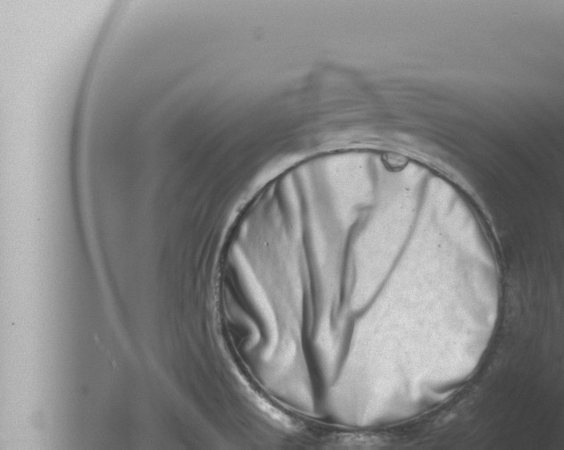 X0000080111525200612221751