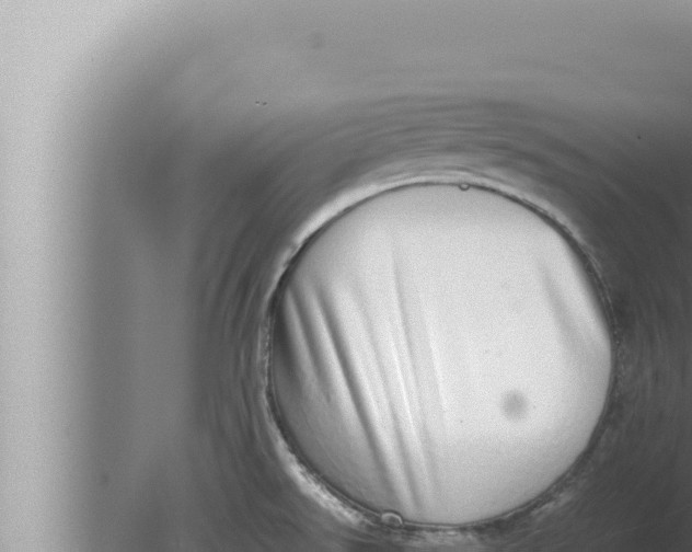 X0000080111526200612221751