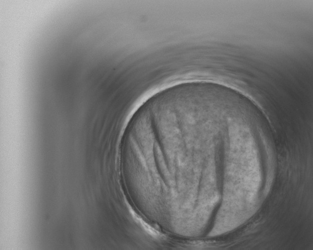 X0000080111527200612221751