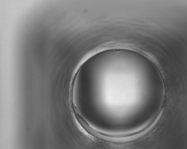 X0000080111528200612221751