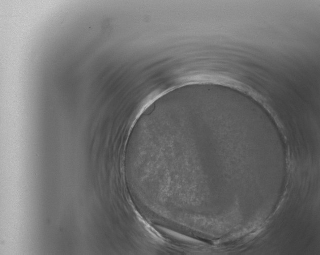 X0000080111529200612221751