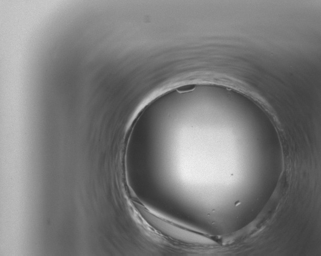 X0000080111530200612221751