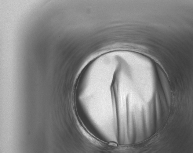 X0000080111531200612221751