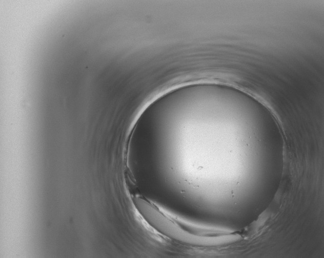 X0000080111532200612221751