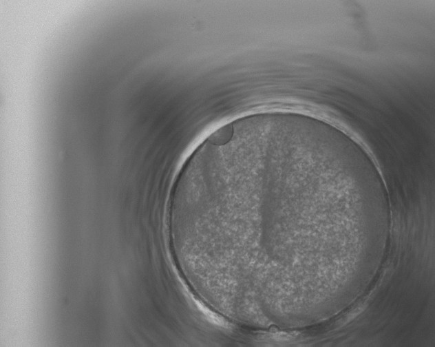 X0000080111533200612221751