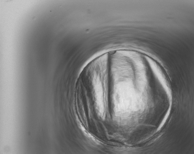 X0000080111534200612221751