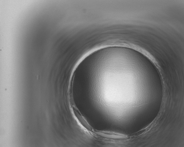 X0000080111536200612221751