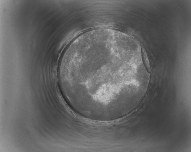 X0000080110002200612301956