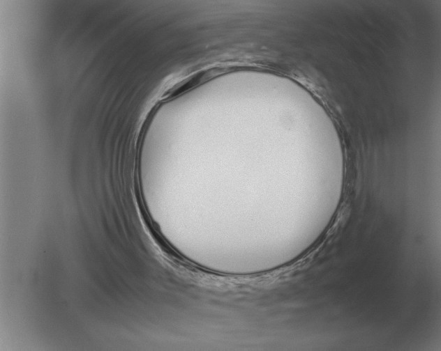 X0000080110003200612301956