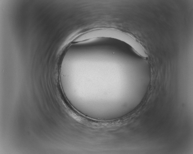 X0000080110005200612301956