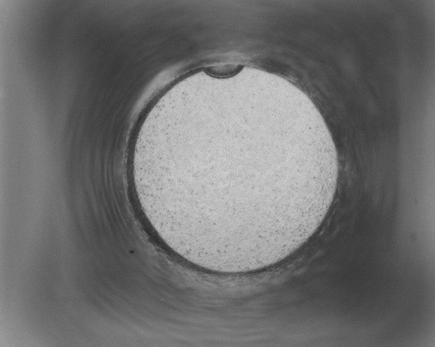 X0000080110006200612301956