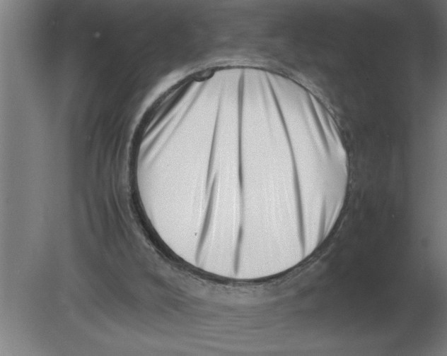 X0000080110008200612301955