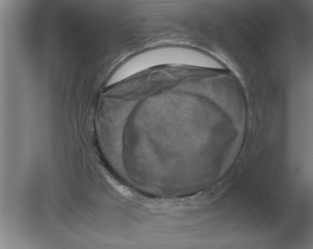 X0000080110009200612301955