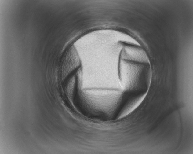 X0000080110010200612301955