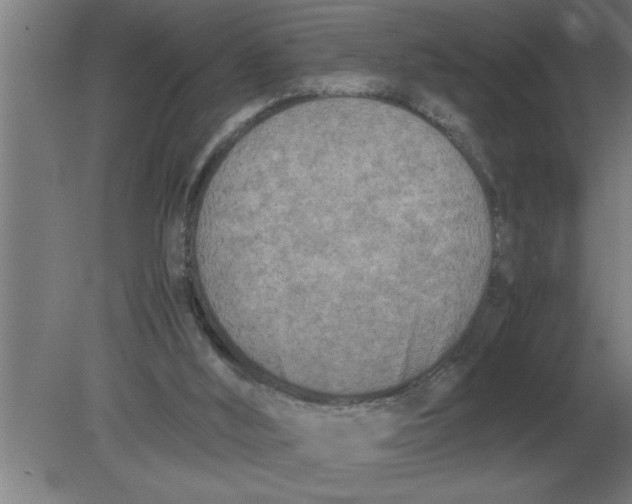 X0000080110012200612301955