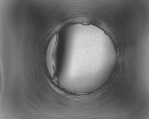 X0000080110013200612301955