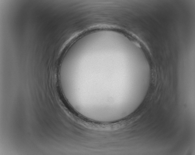 X0000080110015200612301955